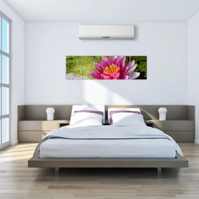 Obraz - Lilia wodna (170x50 cm)