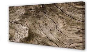 Fotoobraz na płótnie Rysunek Natury W Drewnie