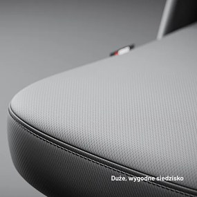 Fotel biurowy, ergonomiczny Diablo V-Light, szary