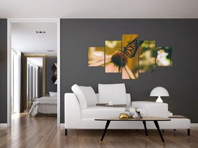 Obraz motyla na kwiatku (125x70 cm)
