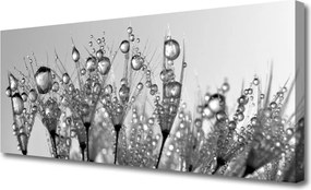 Obraz canvas na ścianę Botaniczna Forma Abstrakcyjna