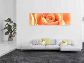 Obraz - Róże, kolor morelowy (170x50 cm)