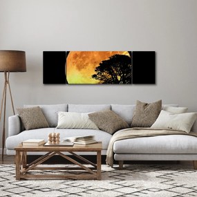Obraz cieni w świetle księżyca (170x50 cm)