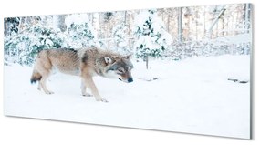 Panel Szklany Wilk zima las