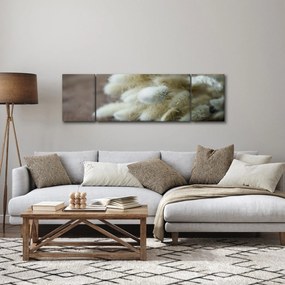 Obraz - Zajęczy ogonek (170x50 cm)
