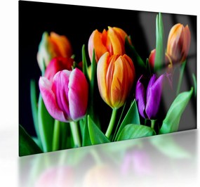 Obraz na szkle tulipanów na czarnym tle (70x50 cm)