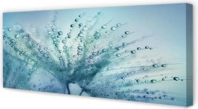 Obraz canvas na ścianę Ulotne Krople na Dmuchawcu