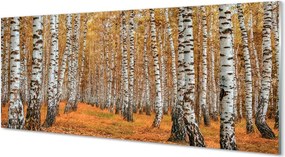 Panel szklany do Kuchni Jesienne Drzewa w Złocie