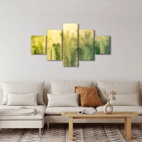 Obraz - Szczegół wiosennej mglistej przyrody (125x70 cm)