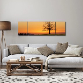 Obraz zachodu słońca na łące (170x50 cm)