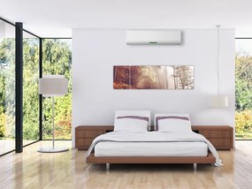 Obraz - Jesienny spacer po lesie (170x50 cm)