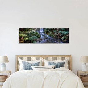 Obraz australijskiego lasu deszczowego (170x50 cm)