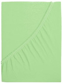 4Home prześcieradło jersey Ideal zielony, 60 x 120 cm, 60 x 120 cm