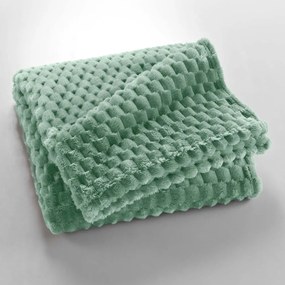 Jasnozielony koc z mikfroflaneli 125x150 cm Mini Frosty – douceur d'intérieur