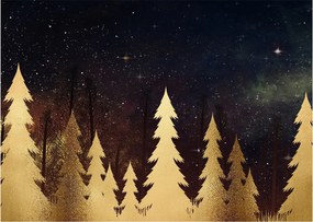 Obraz - Złota noc (70x50 cm)
