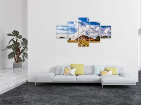 Obraz pola słoneczników (125x70 cm)