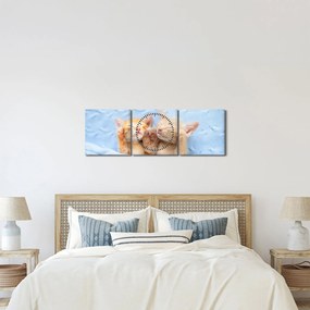 Obraz - Śpiące kocięta (z zegarem) (90x30 cm)