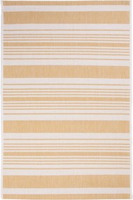 Dywan Lineo 2 2736/Z501 080x150 Prostokąt