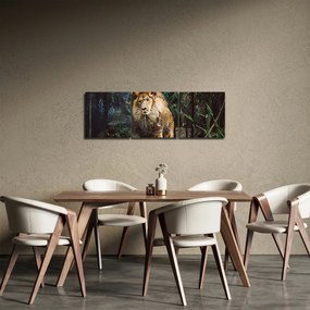 Obraz lwa w naturze (z zegarem) (90x30 cm)