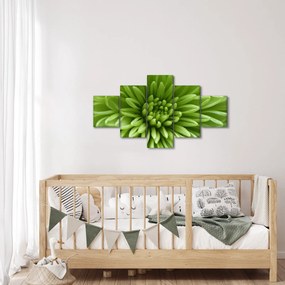 Obraz - Obraz rośliny w trybie makro (125x70 cm)
