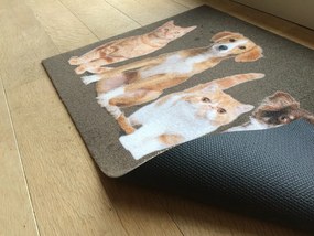 Wycieraczka Deco Star Kumple 50 cm x 80 cm