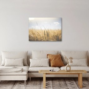 Obraz ziarna (70x50 cm)