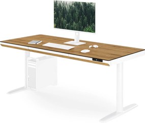 Biurko elektryczne sit-stand z szufladą i ładowarką bezprzewodową Qi białe/złoty dąb, 1600 mm: ELLIS
