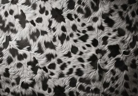 Fototapeta - Cętkowana sierść (196x136 cm)