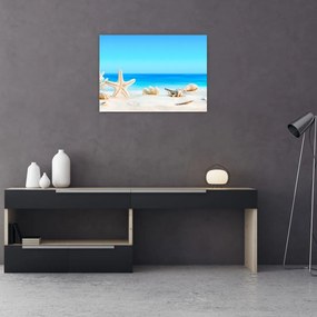 Obraz na szkle - Martwa natura z muszelkami (70x50 cm)