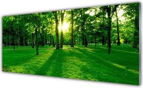 Panel Kuchenny Spokojna Aleja W Parku