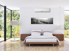 Obraz - Na brzegu morza (170x50 cm)