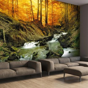 Fototapeta - Leśny potok (196x136 cm)