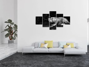 Obraz - Tygrys albinos, czarno - biały (125x70 cm)