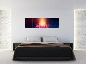 Obraz lilii wodnej na wodzie (170x50 cm)