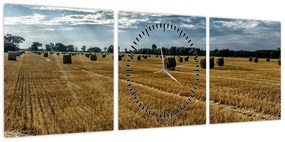 Obraz zebranego pola zboża (z zegarem) (90x30 cm)