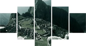 Obraz - Lamy w Machu Picchu w Peru (125x70 cm)