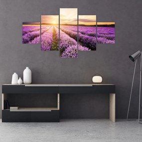 Obraz - Wschód słońca na polu lawendy (125x70 cm)