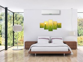 Obraz pola ze zbożem (125x70 cm)