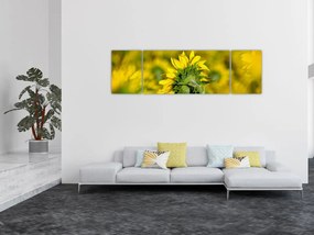 Obraz słonecznika (170x50 cm)