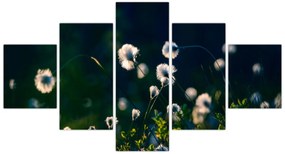 Obraz - Trawa (125x70 cm)