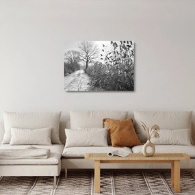 Obraz na szkle - Pola w zimie (70x50 cm)