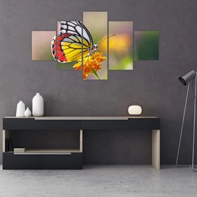 Obraz motyla na kwiatku (125x70 cm)