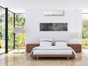 Obraz - Suszona trawa pampasowa (170x50 cm)