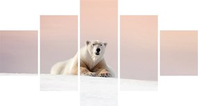 Obraz - Niedźwiedź polarny (125x70 cm)