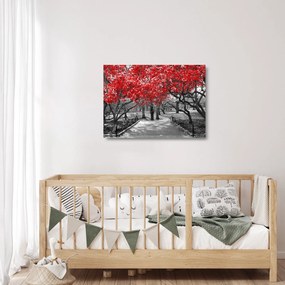 Obraz na szkle - Czerwone drzewa, Central Park, New York (70x50 cm)