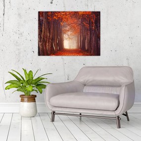 Obraz - Jesienny las (70x50 cm)