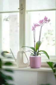 Plastia Doniczka samonawadniająca Tolita Air różowy, śr. 19 cm