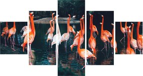 Obraz stada flamingów (125x70 cm)