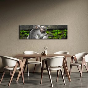 Obraz - małpki (170x50 cm)