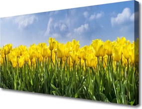 Duży obraz na płótnie Tęczowe Pole Tulipanów